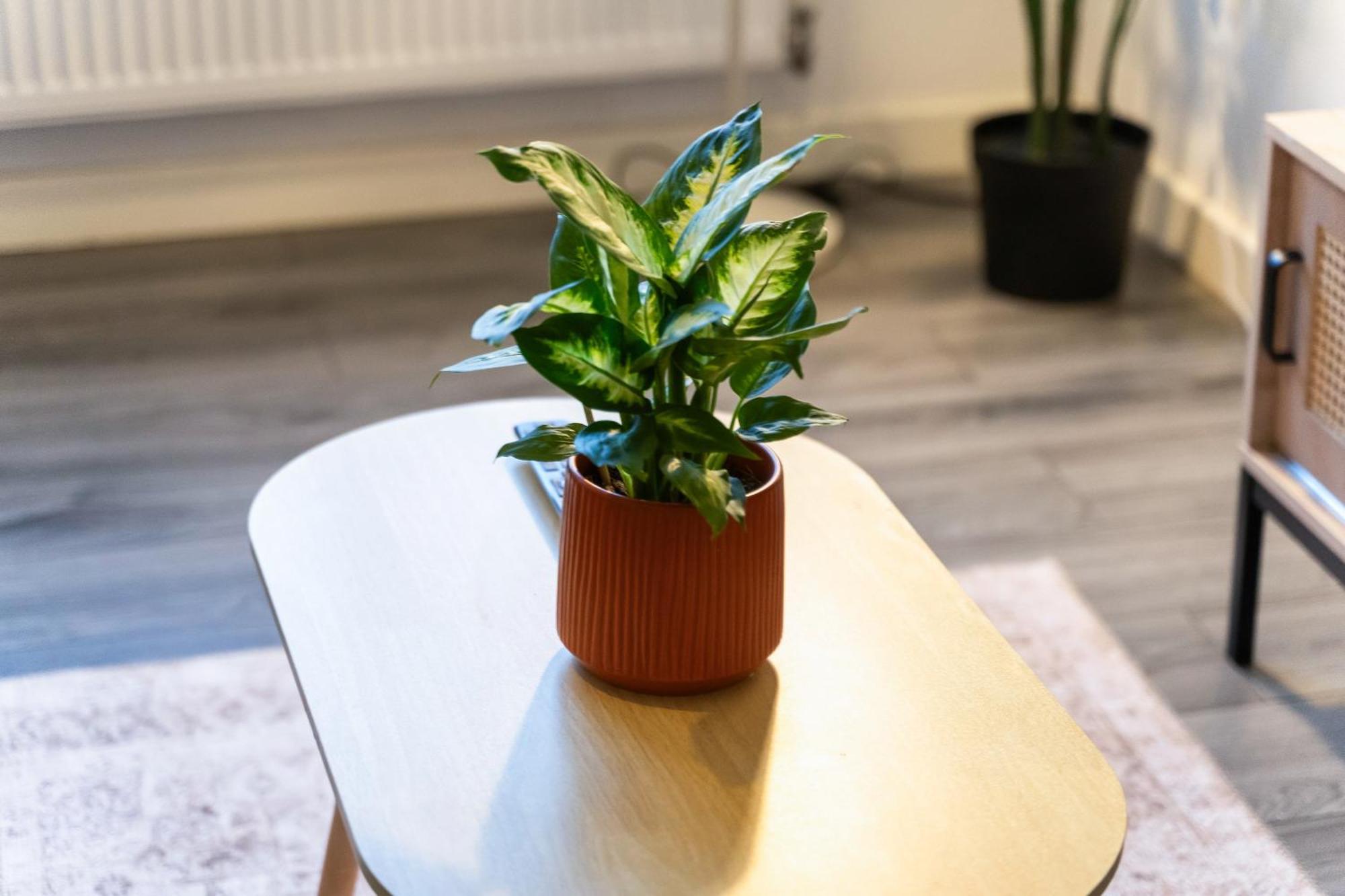 Cradley Heath Stylish New Apartment - Free Wifi & Netflix - Top Rated - 3Mh מראה חיצוני תמונה